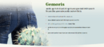Gemoris – Anti Piles Cream Price And Benefits In India! Order