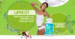 Lipocut Capsules – Advanced Formula for Weight Loss Price In India! Order