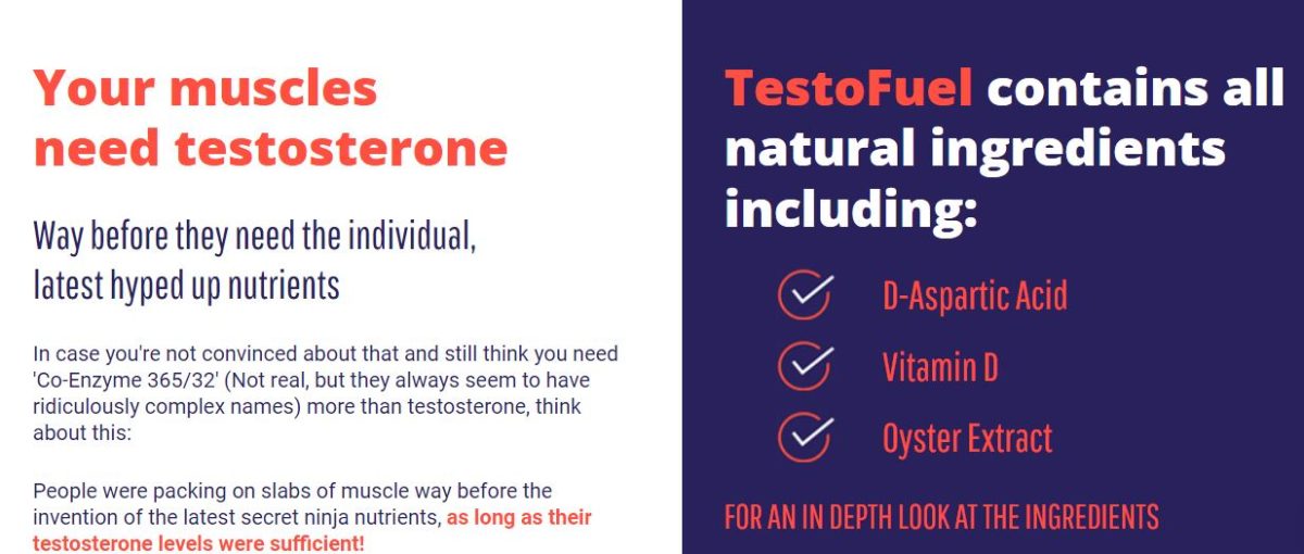 testofuel-capsule-increase-your-testosterone-level-price-in-india