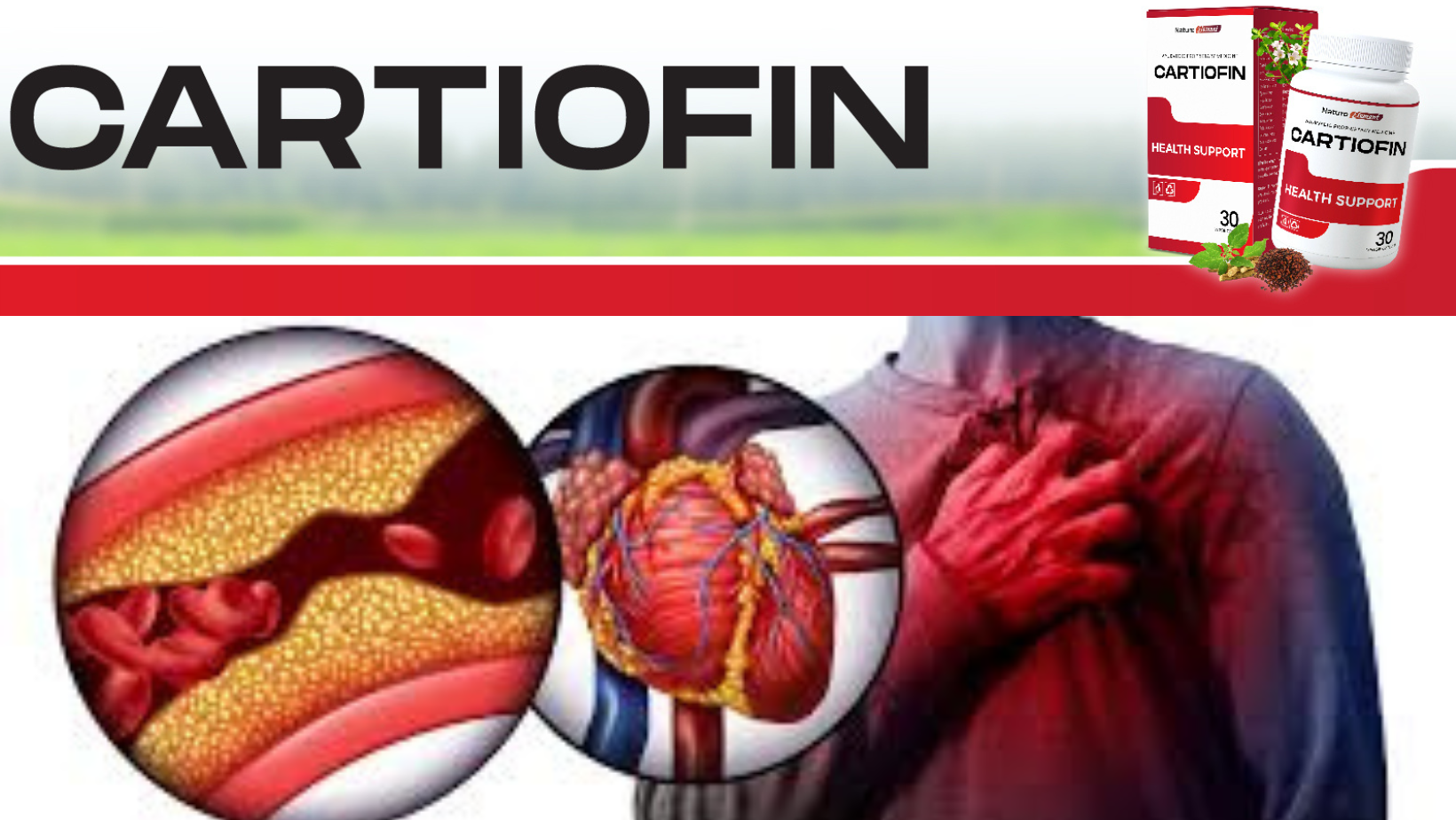 Cartiofin Capsule – Hypertension Ayurvedic Proprietary Medicine